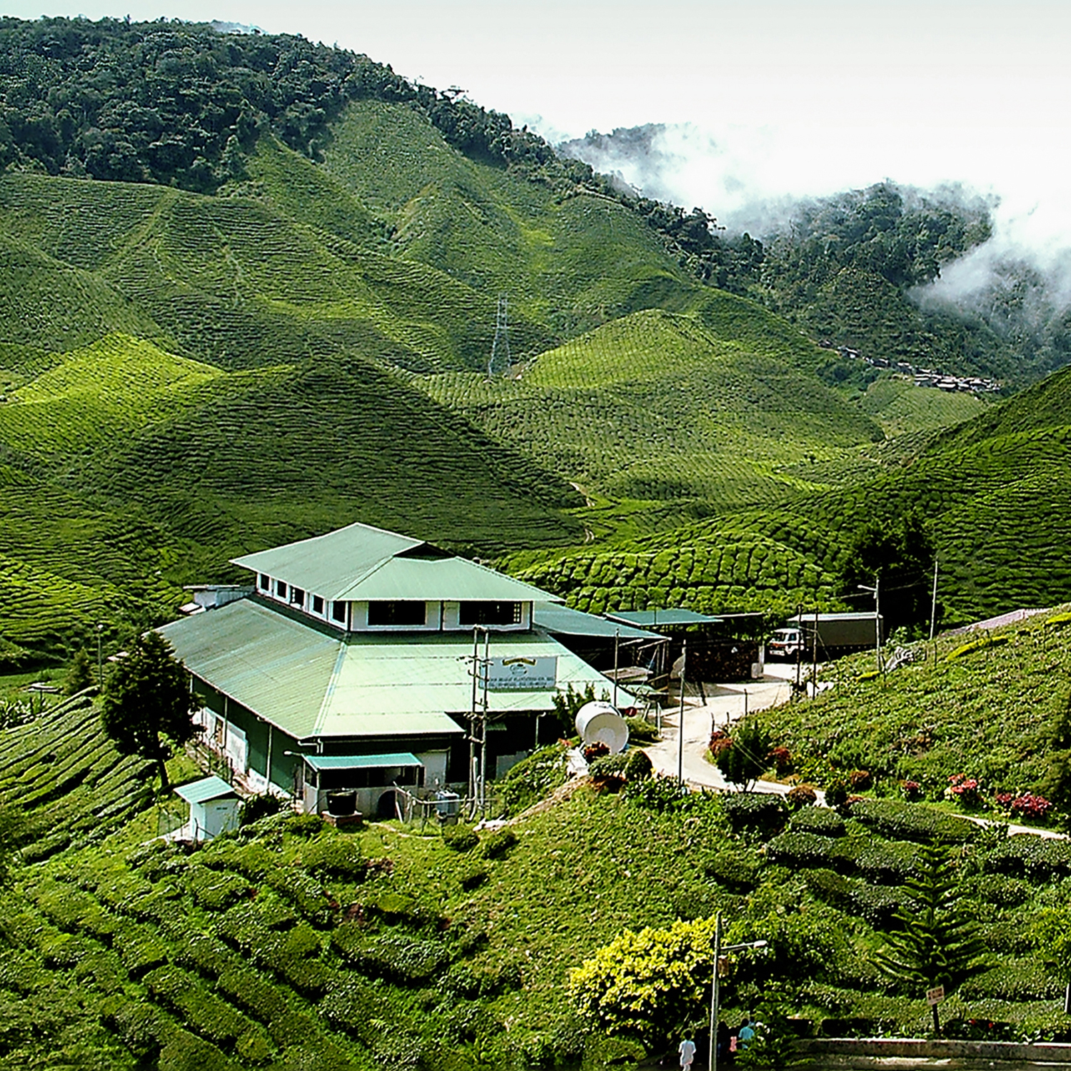 Colonial architecture and vibrant street art in Georgetown, Penang